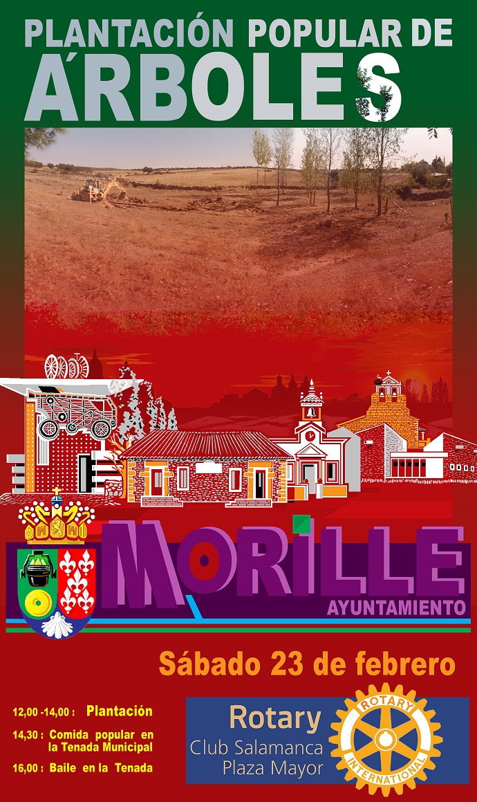 Plantaci&oacute;n de &aacute;rboles en Morille