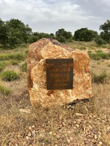 Sofía Rincón, 