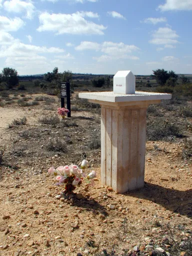 Adolfo Manzano  «OJOS TORPES Y EXTRAVIADOS DE UN LADO PARA OTRO,  ES LA DEMENCIA» #3