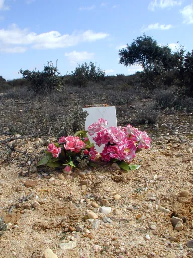 Alberto Greco «LA MALETA DE ALBERTO GRECO, EN MEMORIA, [RED]» FIN #2