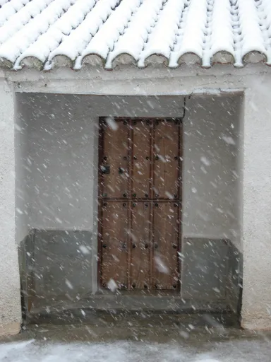Ayuntamiento #7