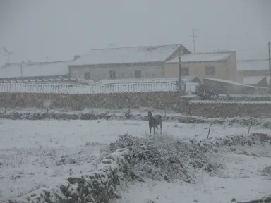 Ayuntamiento #6