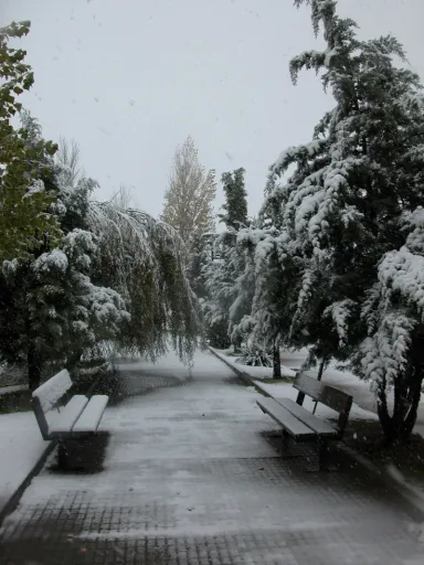 Calles y plazas #3