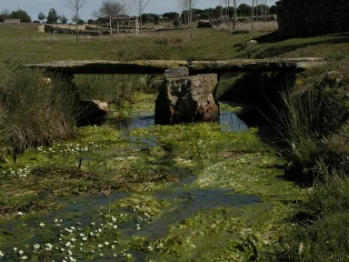Parajes: El Chorrete #1
