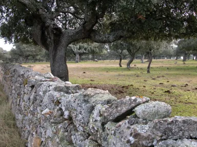 Parajes: Monte Abajo #2