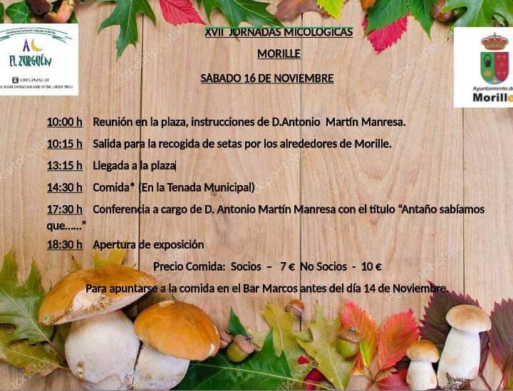 Ya están aquí las jornadas micológicas de Morille!!!