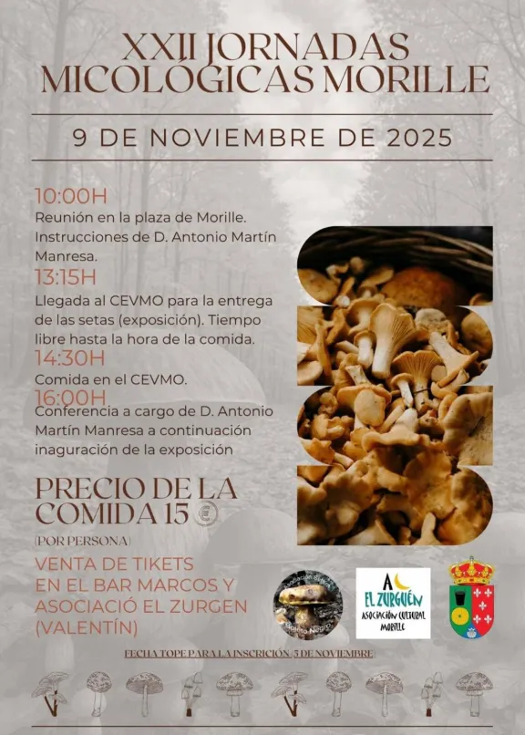 Una nueva edición de las Jornadas de micología de Morille
